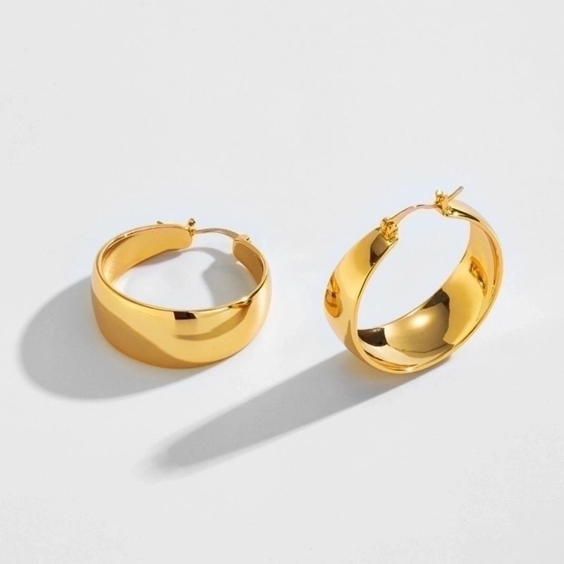 1 Pair Minimalist Geometric Stainless Steel Metal Hoop Earrings