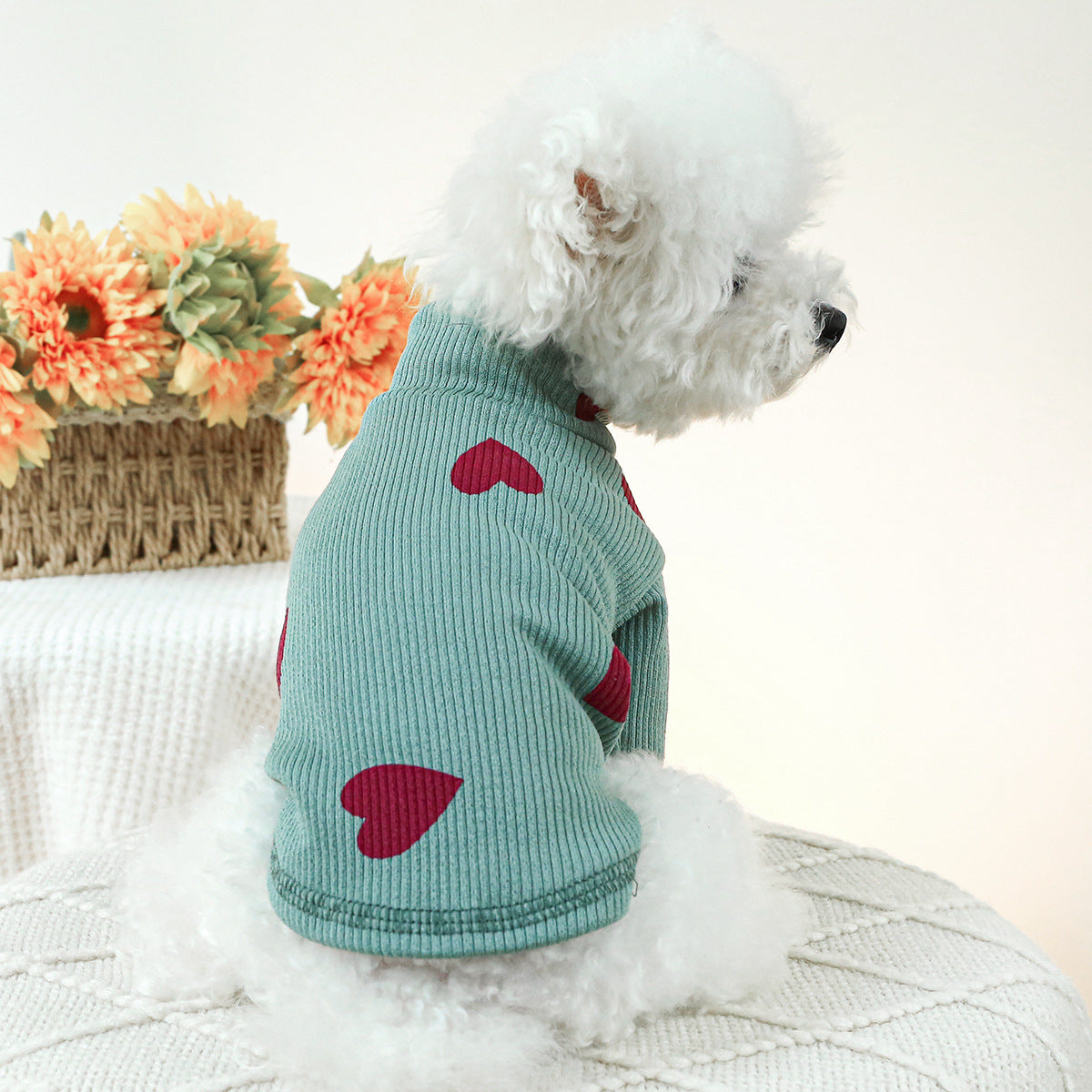 Warm Heart Printed Dog Cat Shirt