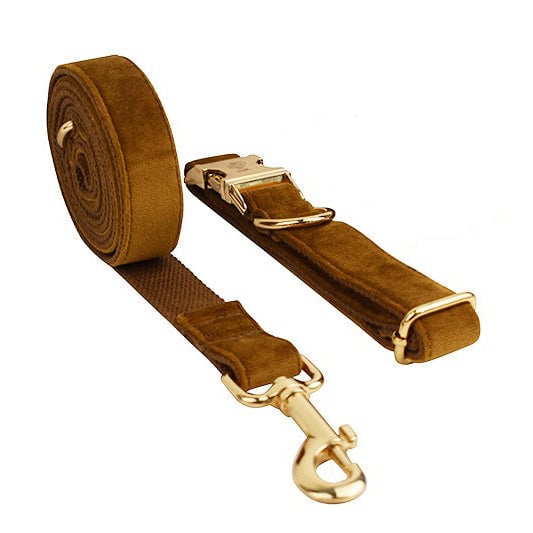 Velvet Personalized Dog Harness Collar Leash