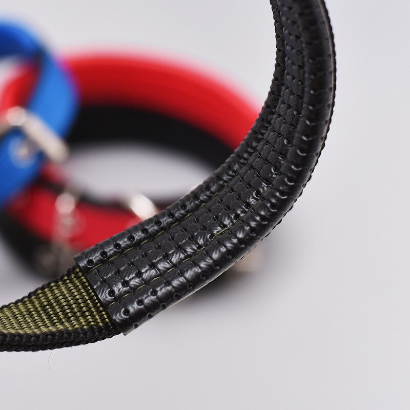 Double Layer Padded Pet Collars
