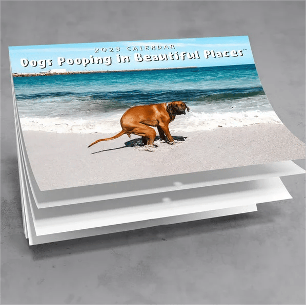 Funny Calendar Gift - Dog Poop Calendar