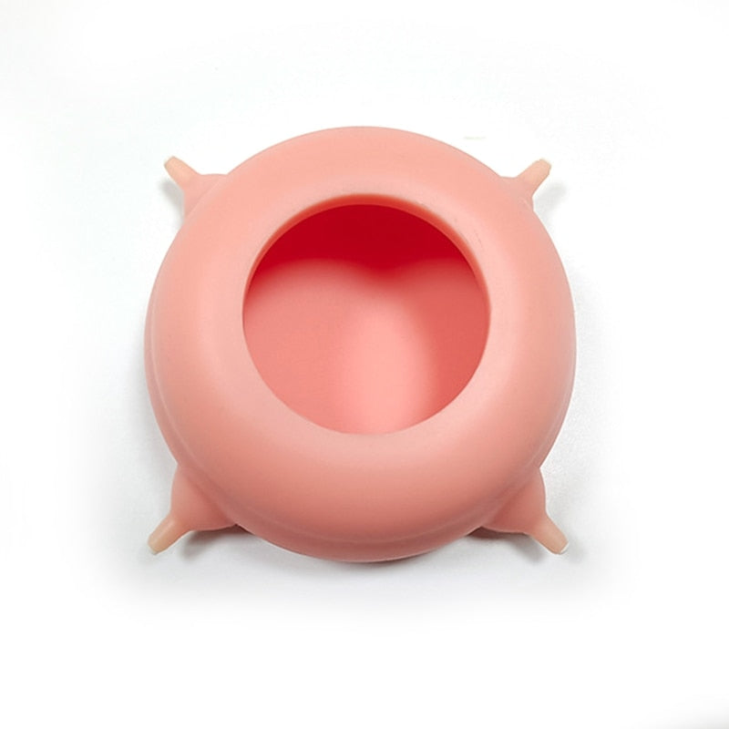 Cat Feeding Bowl
