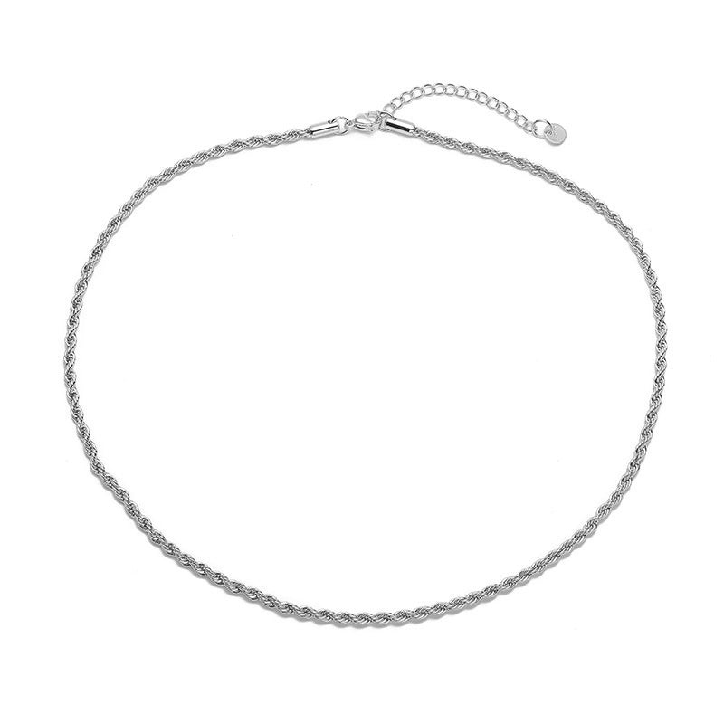 Stainless Steel IG Style Minimalist Plating Solid Color Necklace