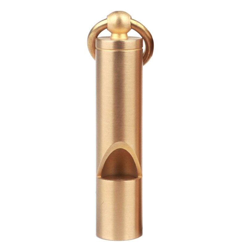 Pet Bird Training Whistle