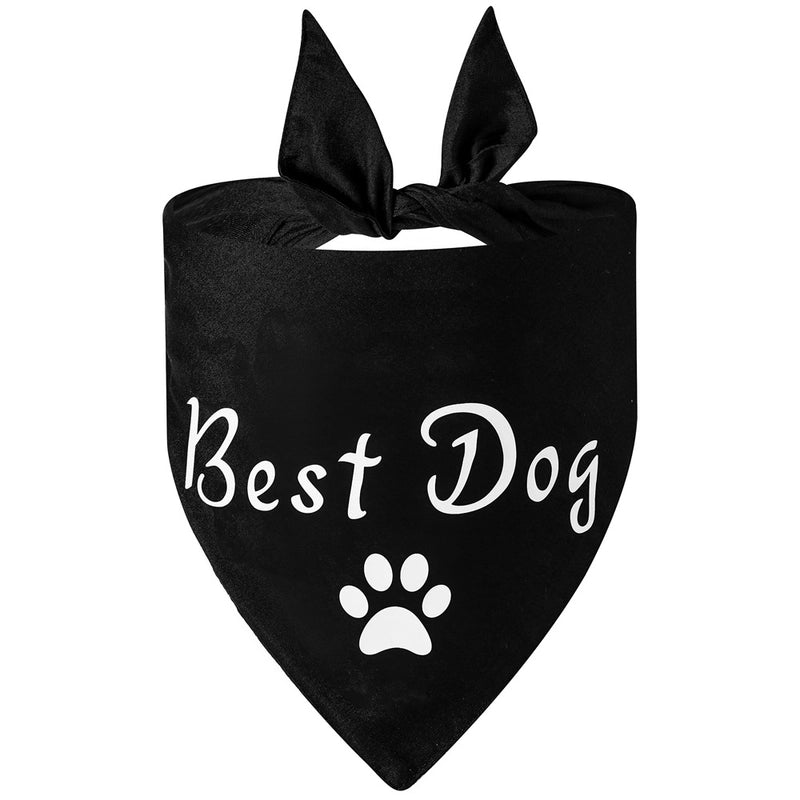 Pet Print Letter Pattern Portable Fashion Triangle Scarf