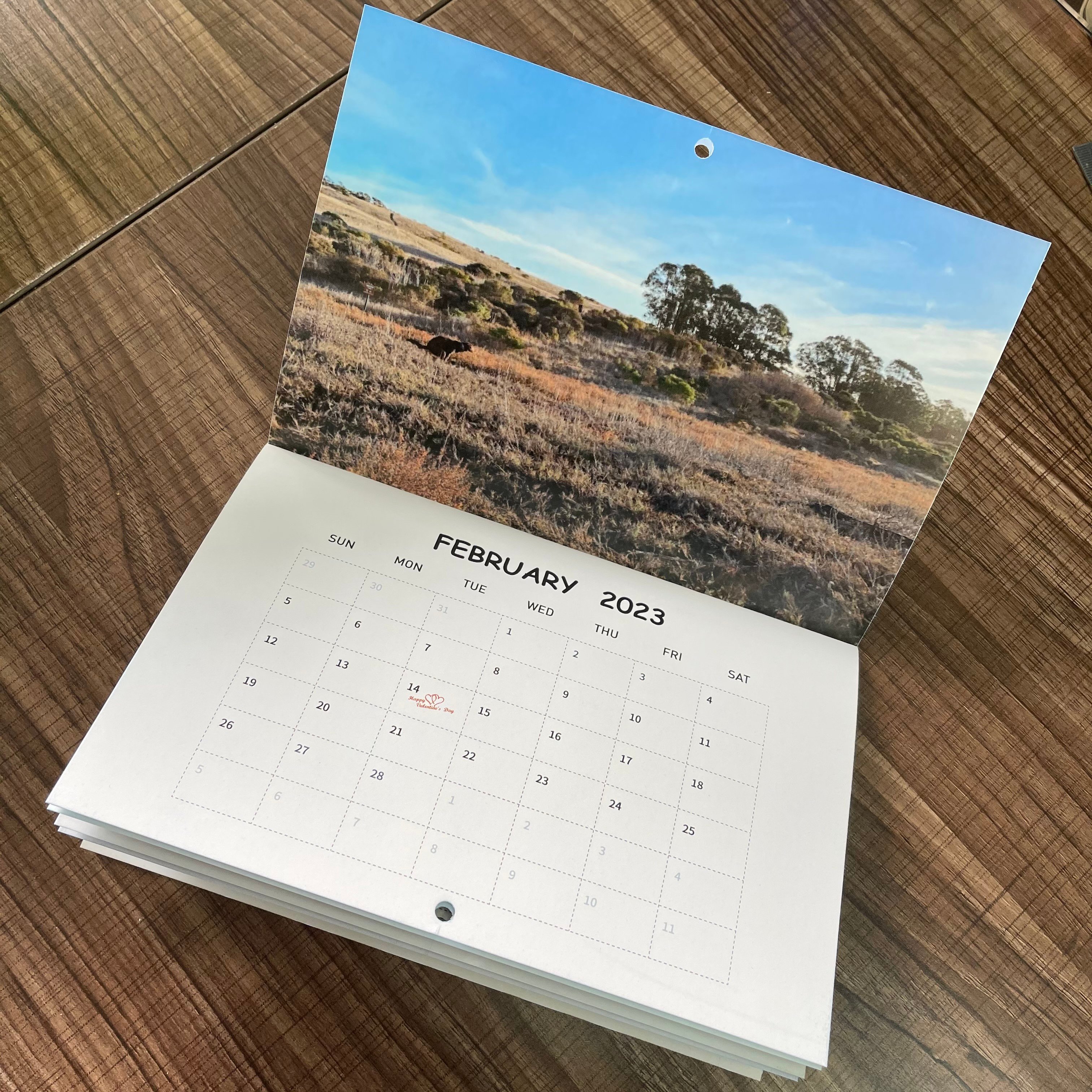 Funny Calendar Gift - Dog Poop Calendar