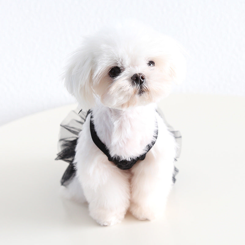 Sweet Letter Printed Lace Dog Cat Dress