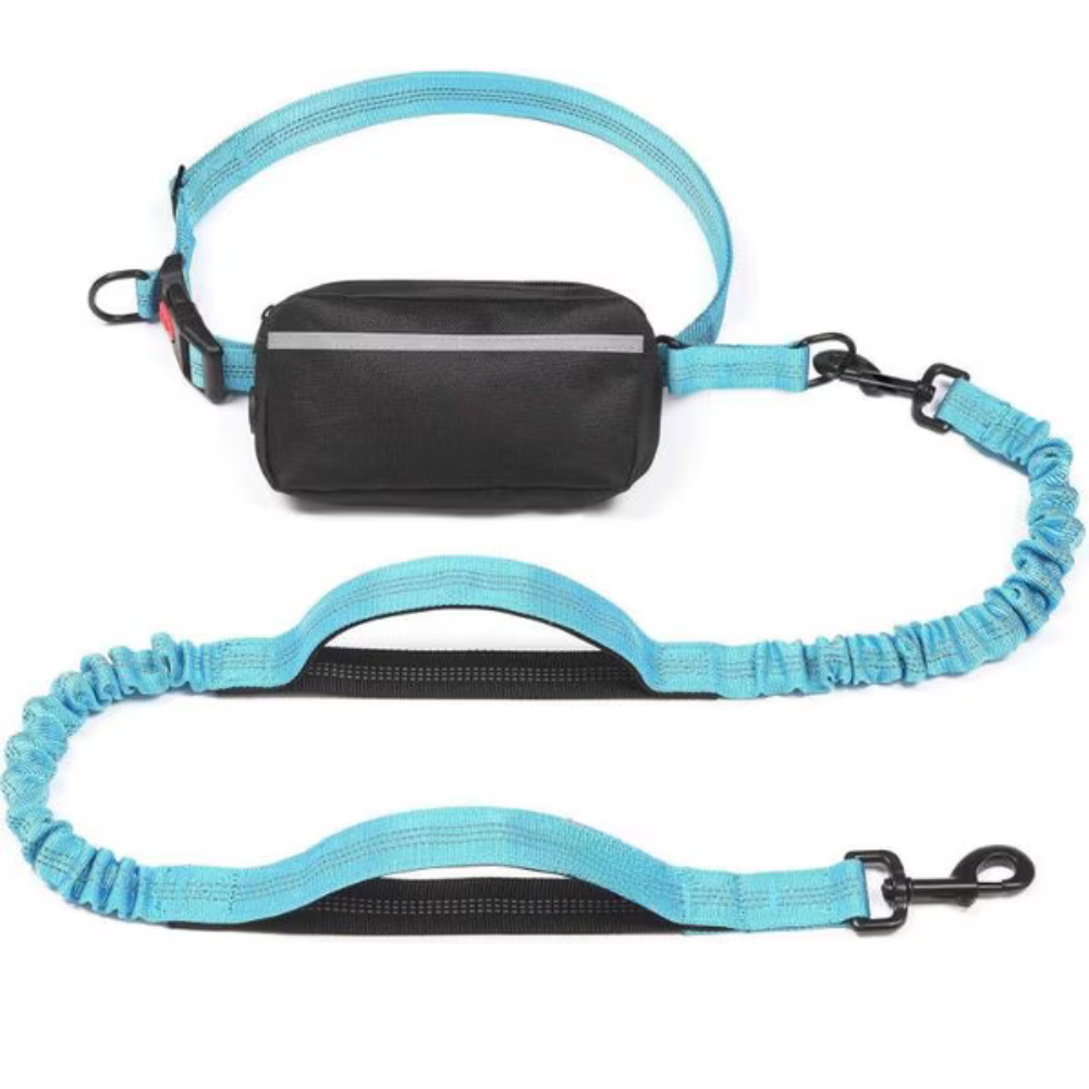 Reflective Bungees Running Dog Leash