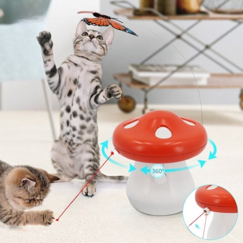 Electric Self Play Cat Toy