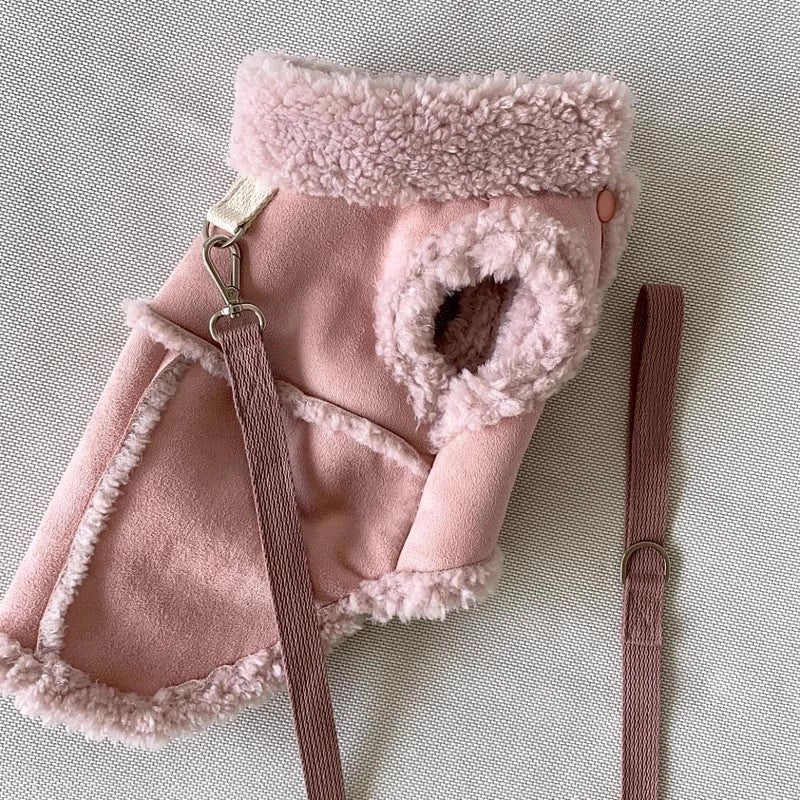 Casual Polyester Solid Color Pet Clothing