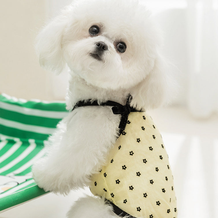 Flower Pattern Breathable Tulle Dog Cat Vest