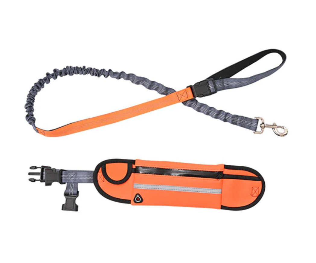 Waist Wearing Adjustable Pet Leashes