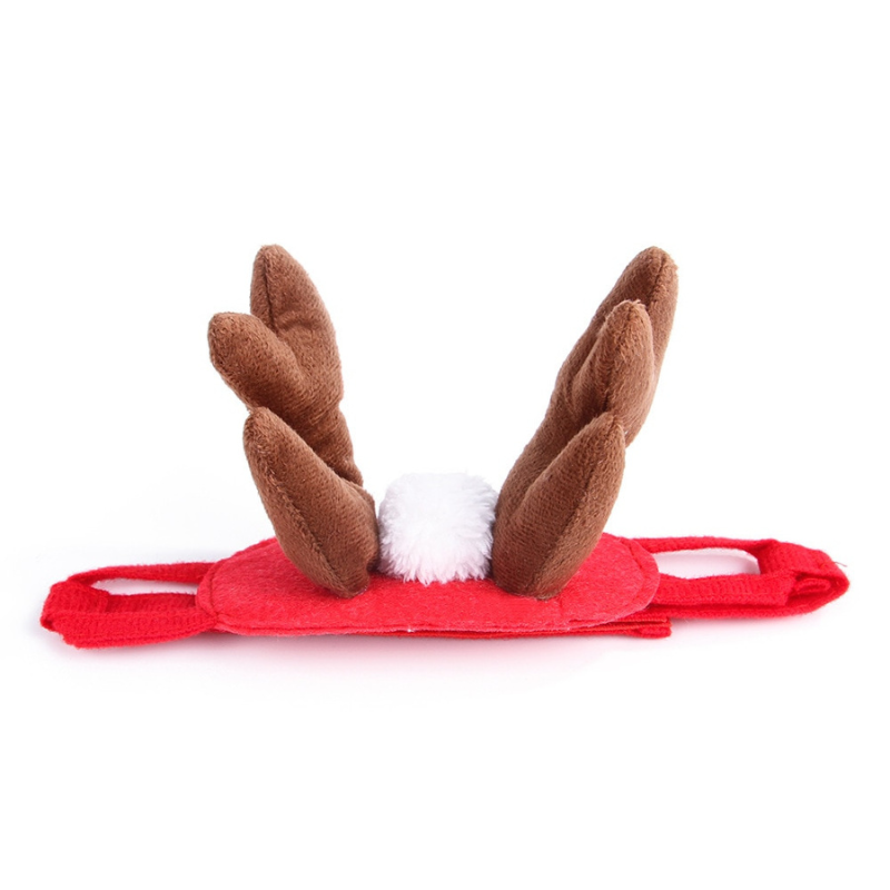 Themed Pet Cat Hats