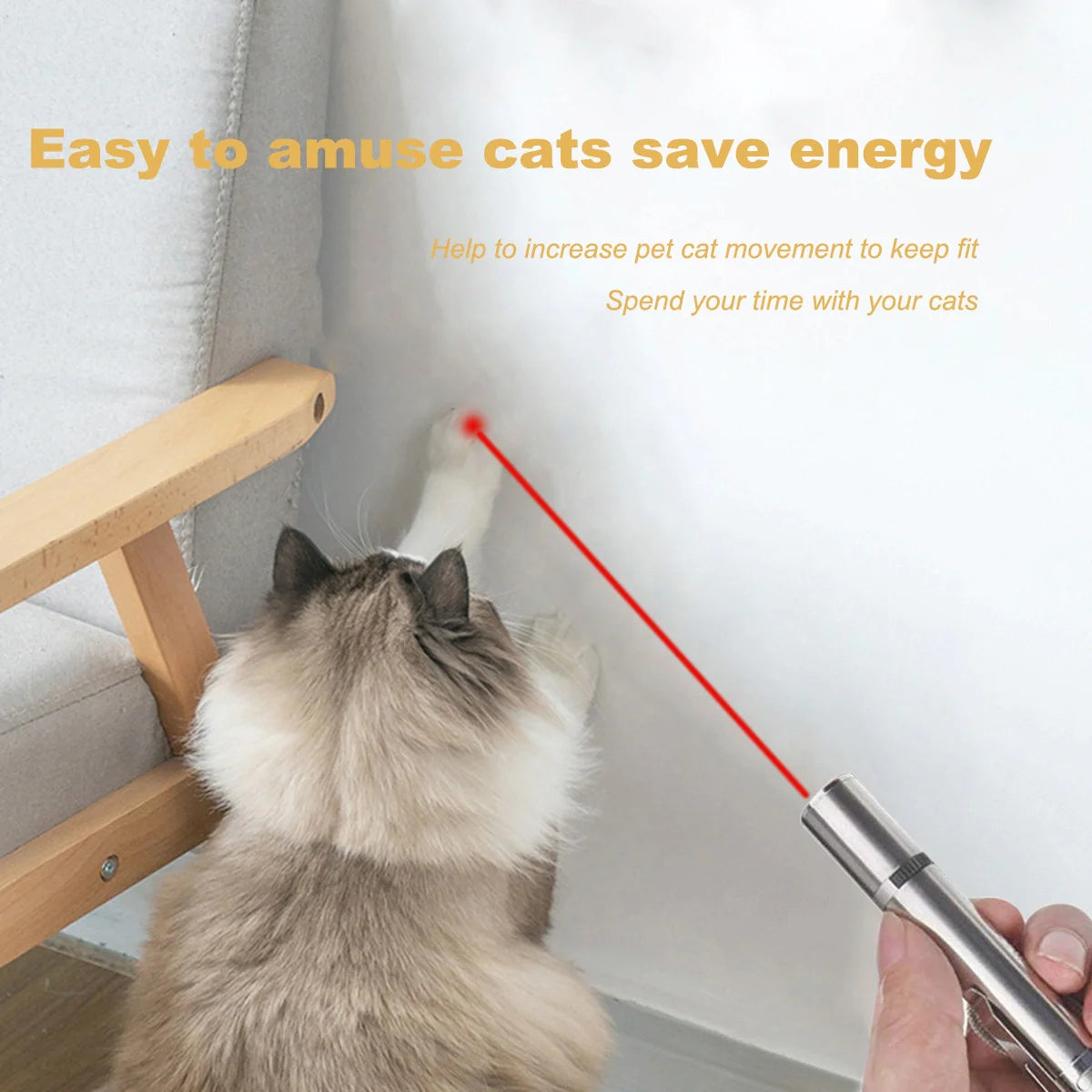 Cat LED Pointer