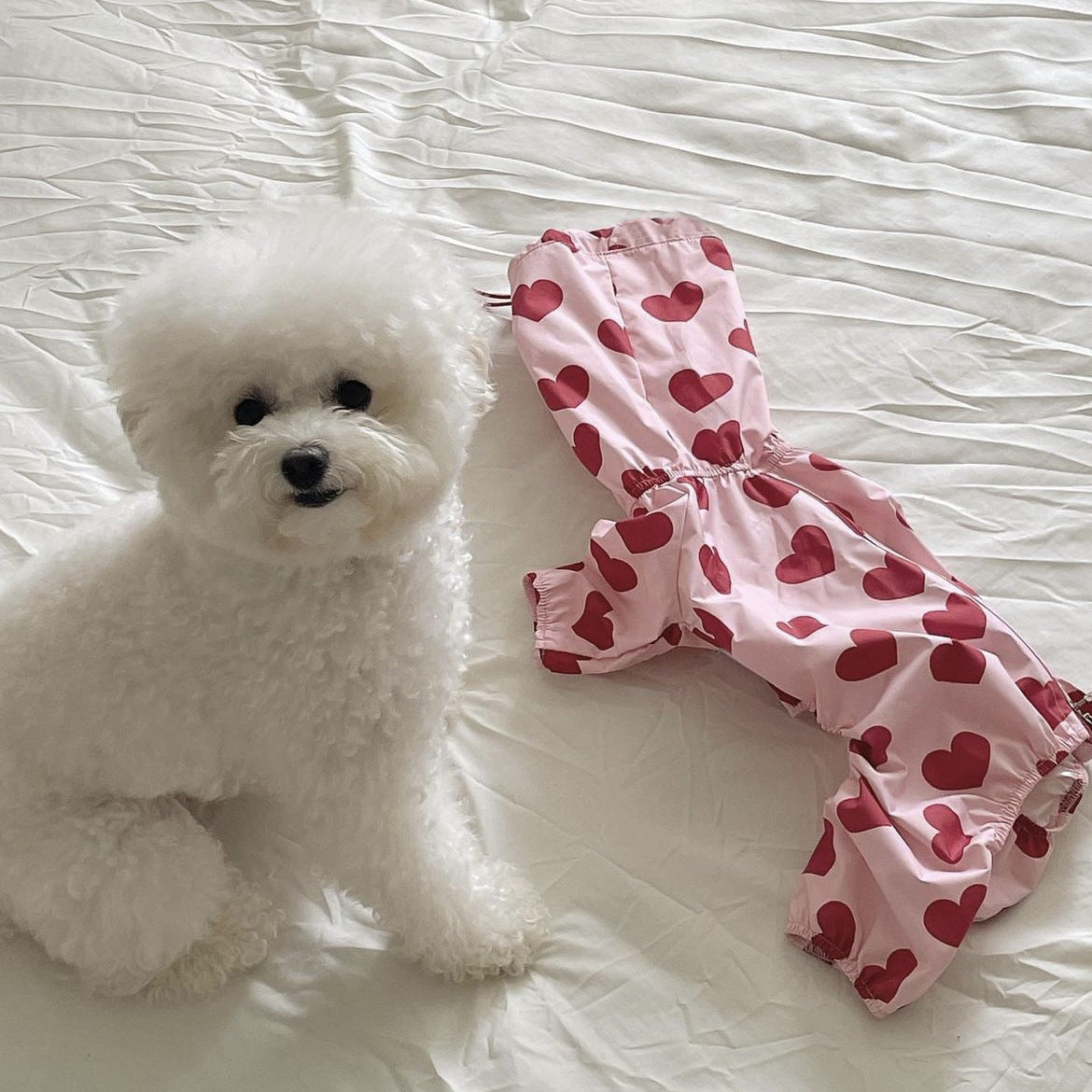 Heart/Cloud Printed Dog Cat Raincoat