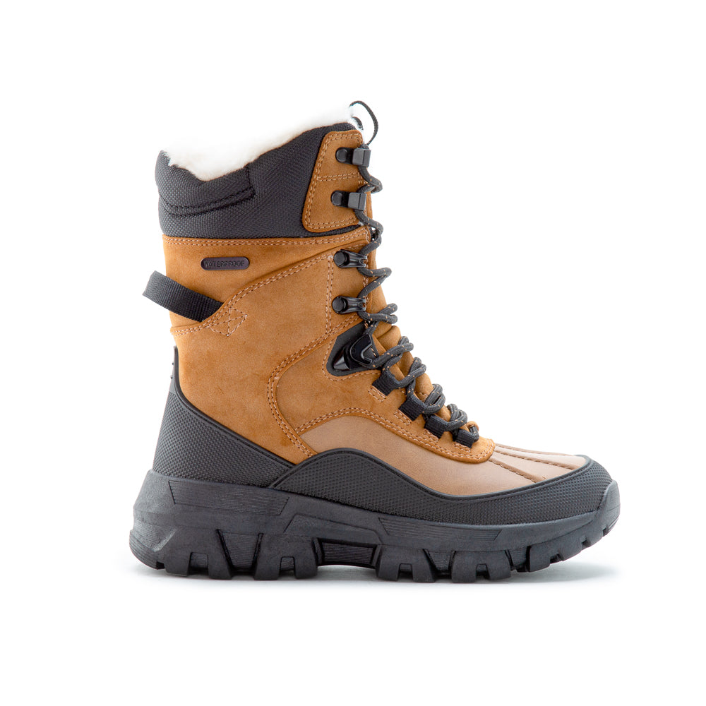 WINTERVALE H