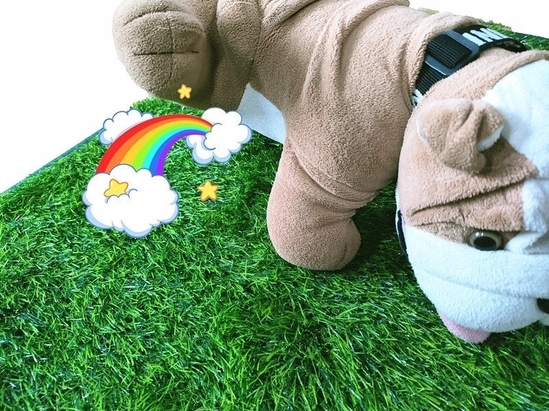 Minimalist Pe Tpr Solid Color Pet Pad