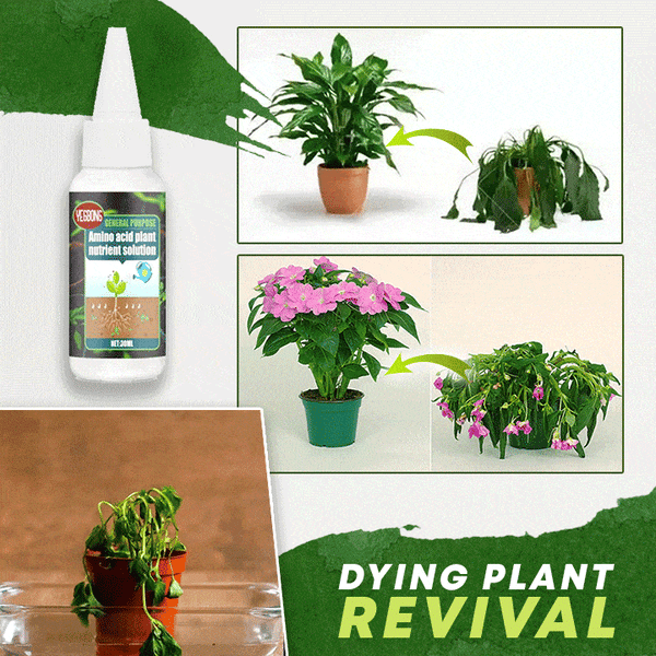 (Summer Hot Sale- 48% OFF)Plant Nutrient Solution