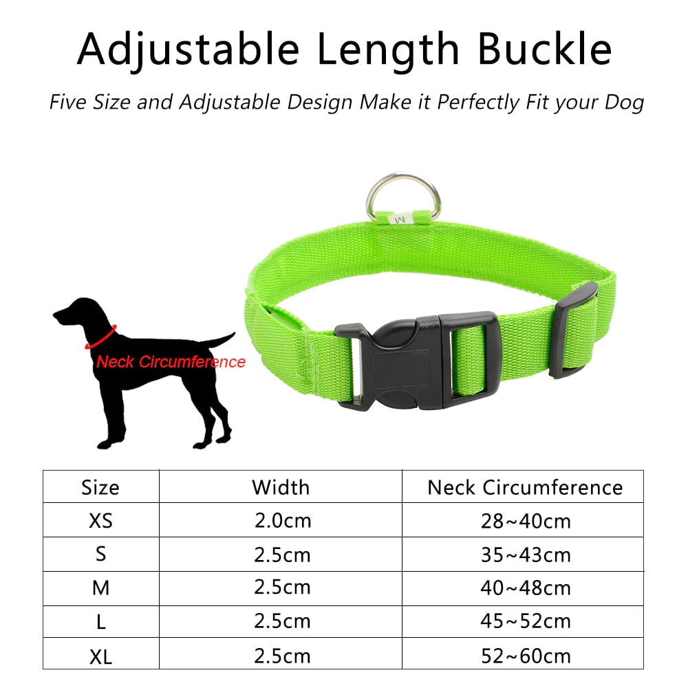 LED Dog Collar - USB Rechargeable - Glow In Dark
