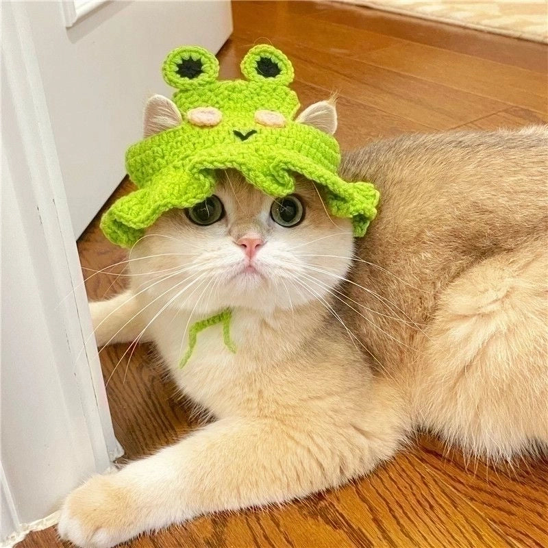 Cute Acrylic Cartoon Pet Hat