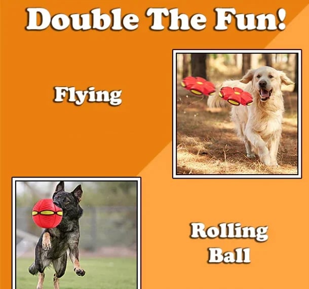 🔥LAST DAY 49% OFF🔥💥The Doggy Disc Ball💞