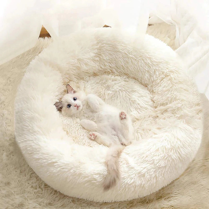 Comfy Calming Dog/Cat Bed