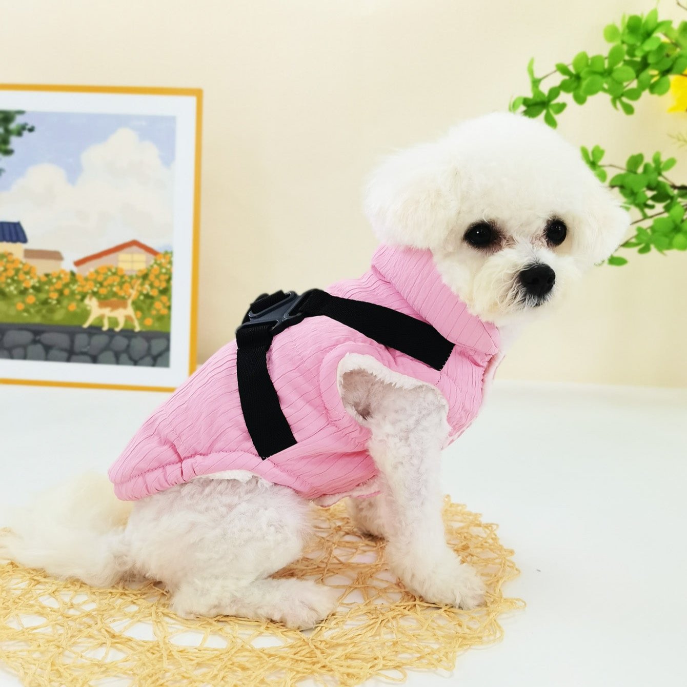 Solid Color Striped Fleece Dog Jacket Harness