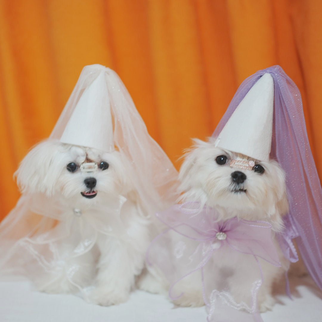 Party Lace Dog Cat Necklace&Hat Set