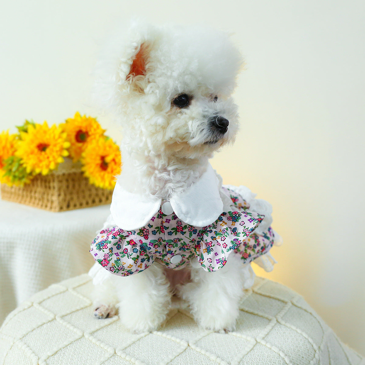 Flower Lace Decor Dog Cat Dress Harness