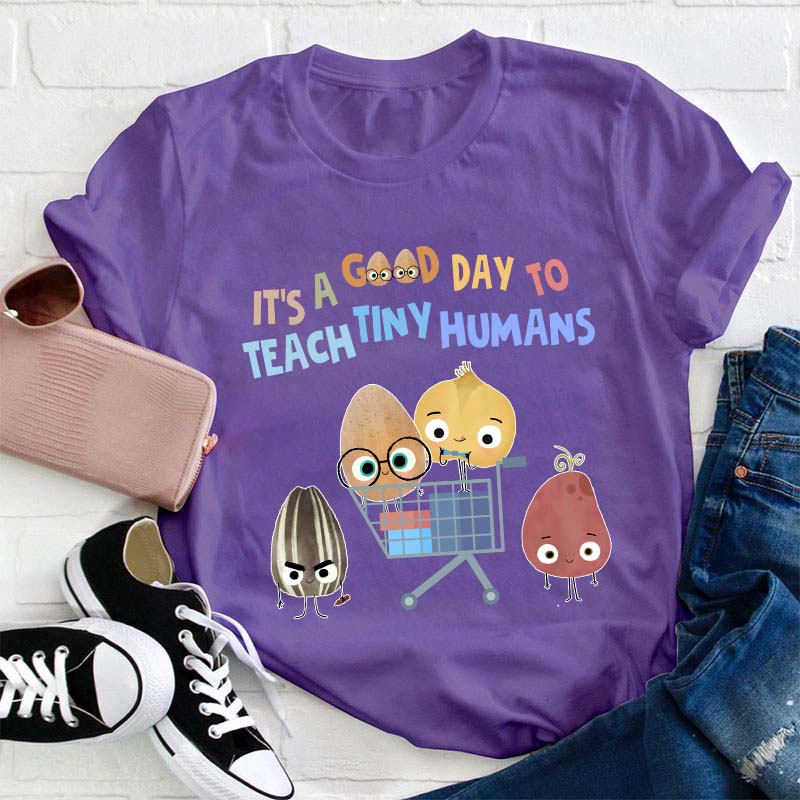 It's A Good Day To Teach Tiny Humans Teacher T-Shirt