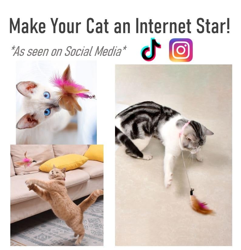 Cat Collar Toy