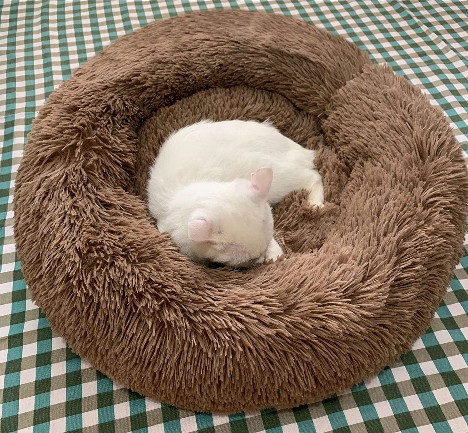 Comfy Calming Dog/Cat Bed