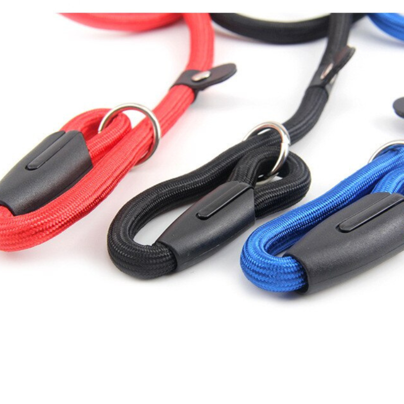 Solid Dog Leash
