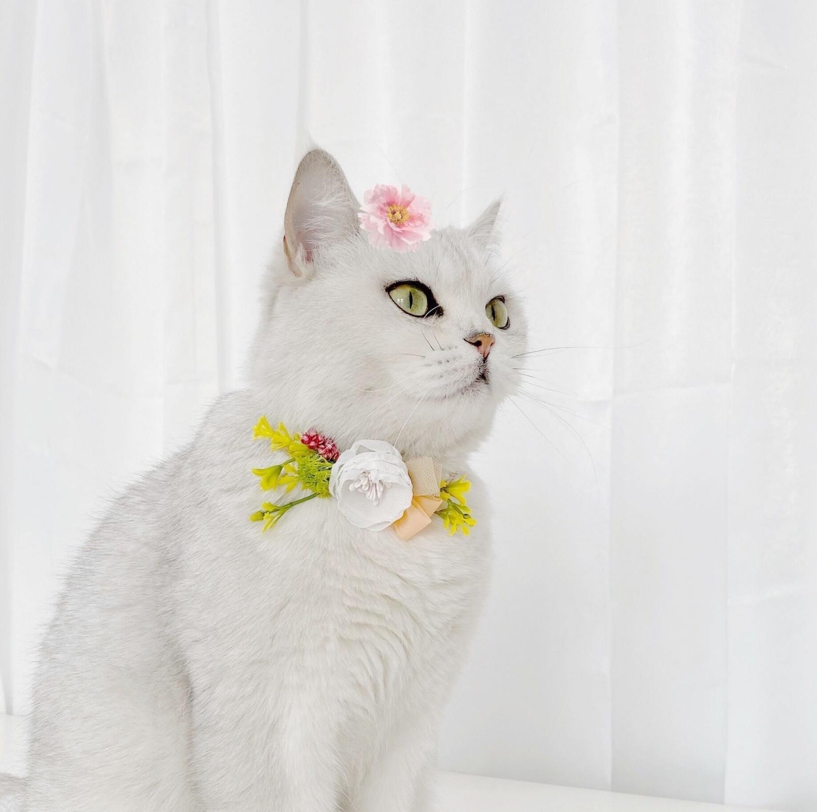 Floral Pet Collar Perfect For Celebrating Wedding And Other Events