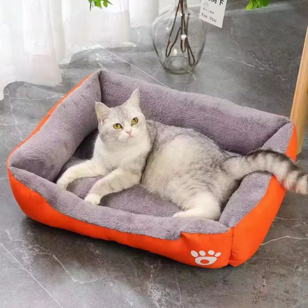 Pet Bed