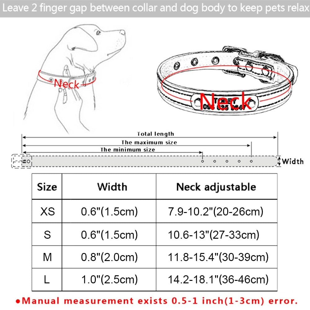 Personalized Dog Collar with Name