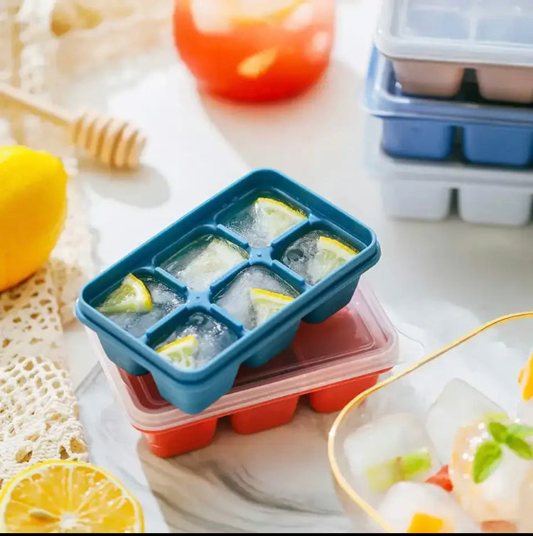 6X GRIDS ICE TRAY MOLD