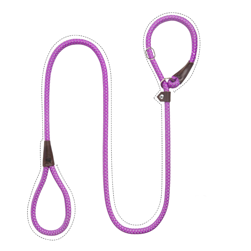 Sturdy Slip Training Leash