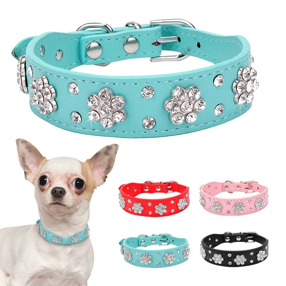 Flower Studded Leather Dog Collar