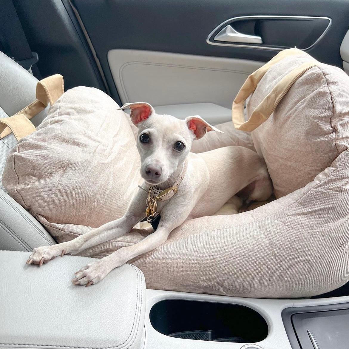 JetPaws Portable Dog Bed