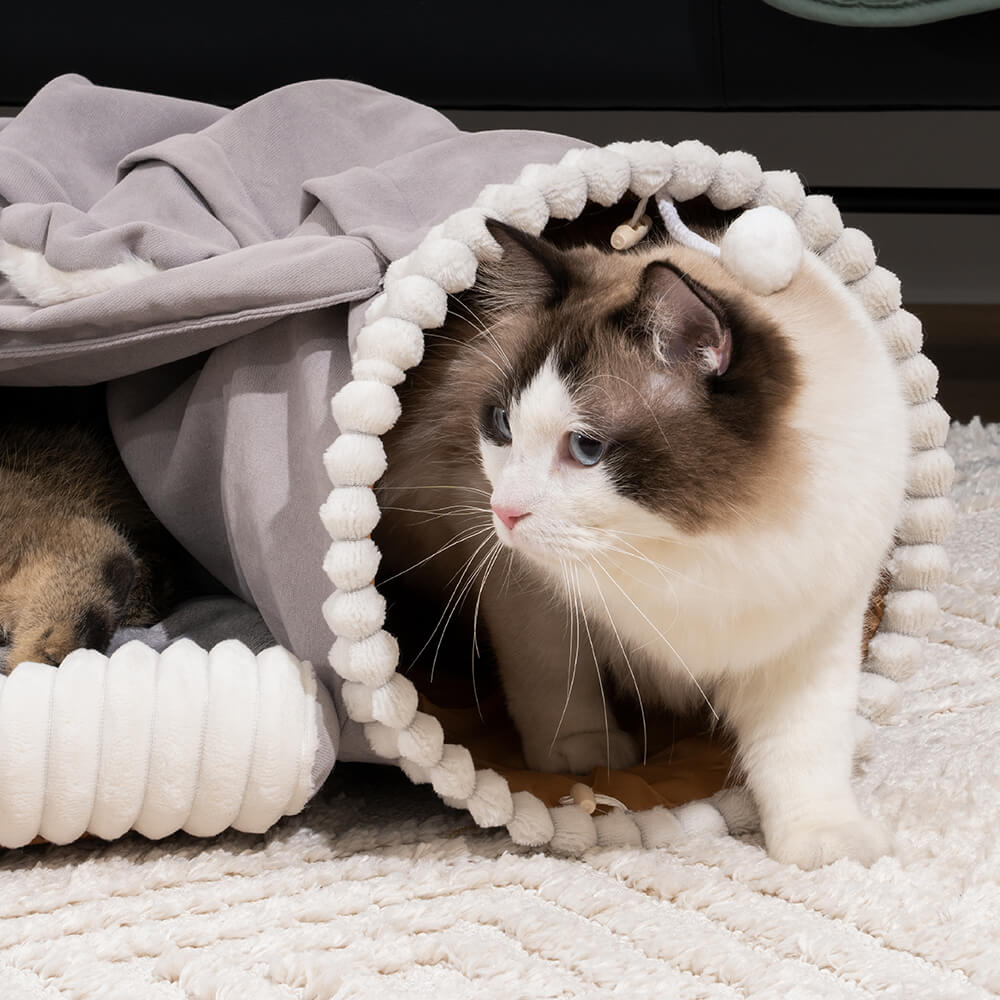 Koalaing 2 in 1 Foldable Indoor Soft Cat Tunnel Bed