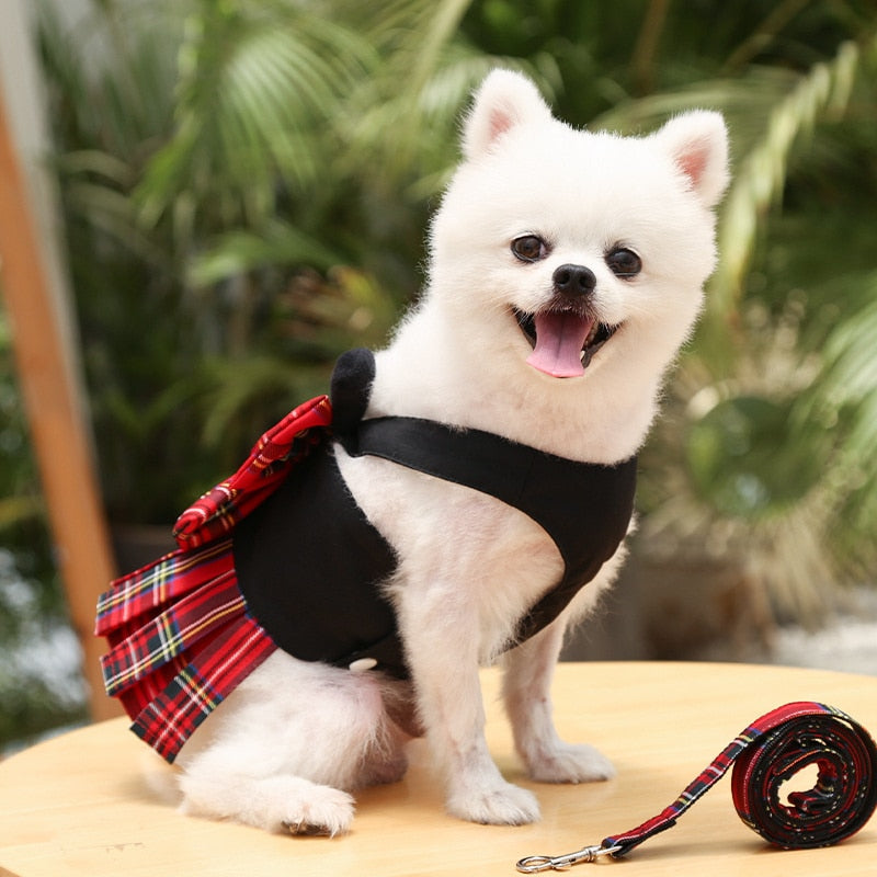 Vintage Plaid Dog Harness With Leash Set