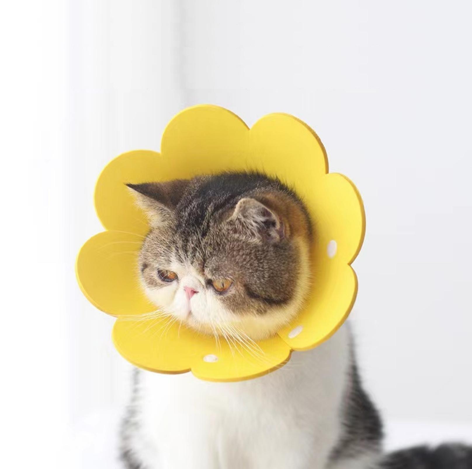 Meoof Sunflower E-Collar - Lightweight & Stylish for Cats & Dogs