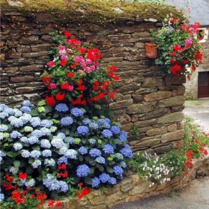 Outdoor Artificial Hydrangea Flowers💐