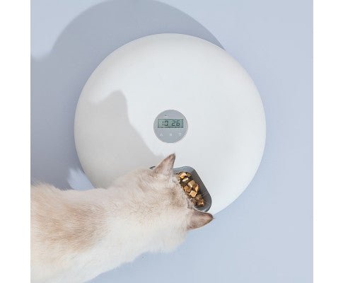 6 Meal Automatic Pet Food Dispenser with Programmable Timer - White