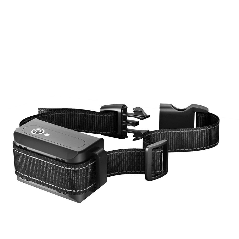 Pet Remote Control With Shock Vibration