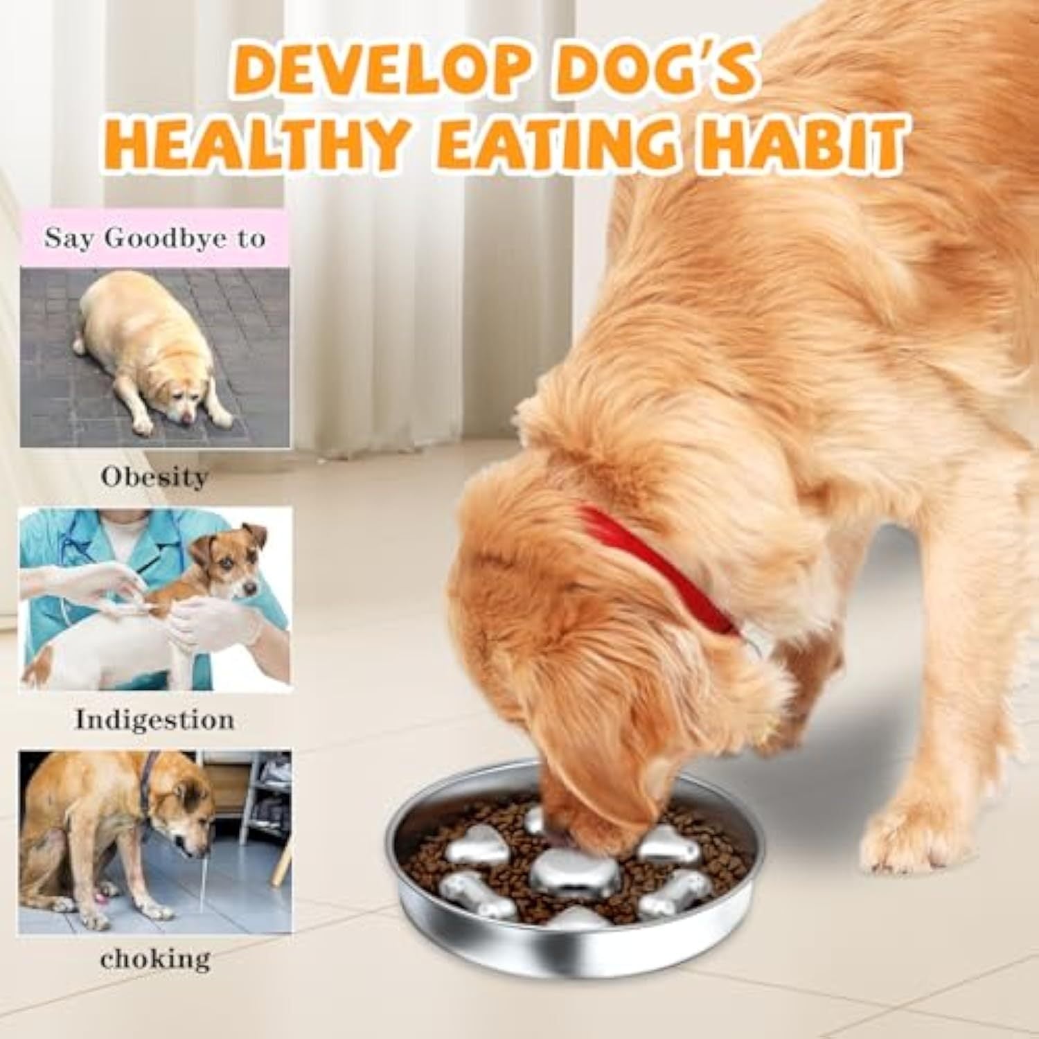 Stainless Steel Slow Feeder Dog Bowl - Non-Slip Food Bowl with Heart & Bone Design