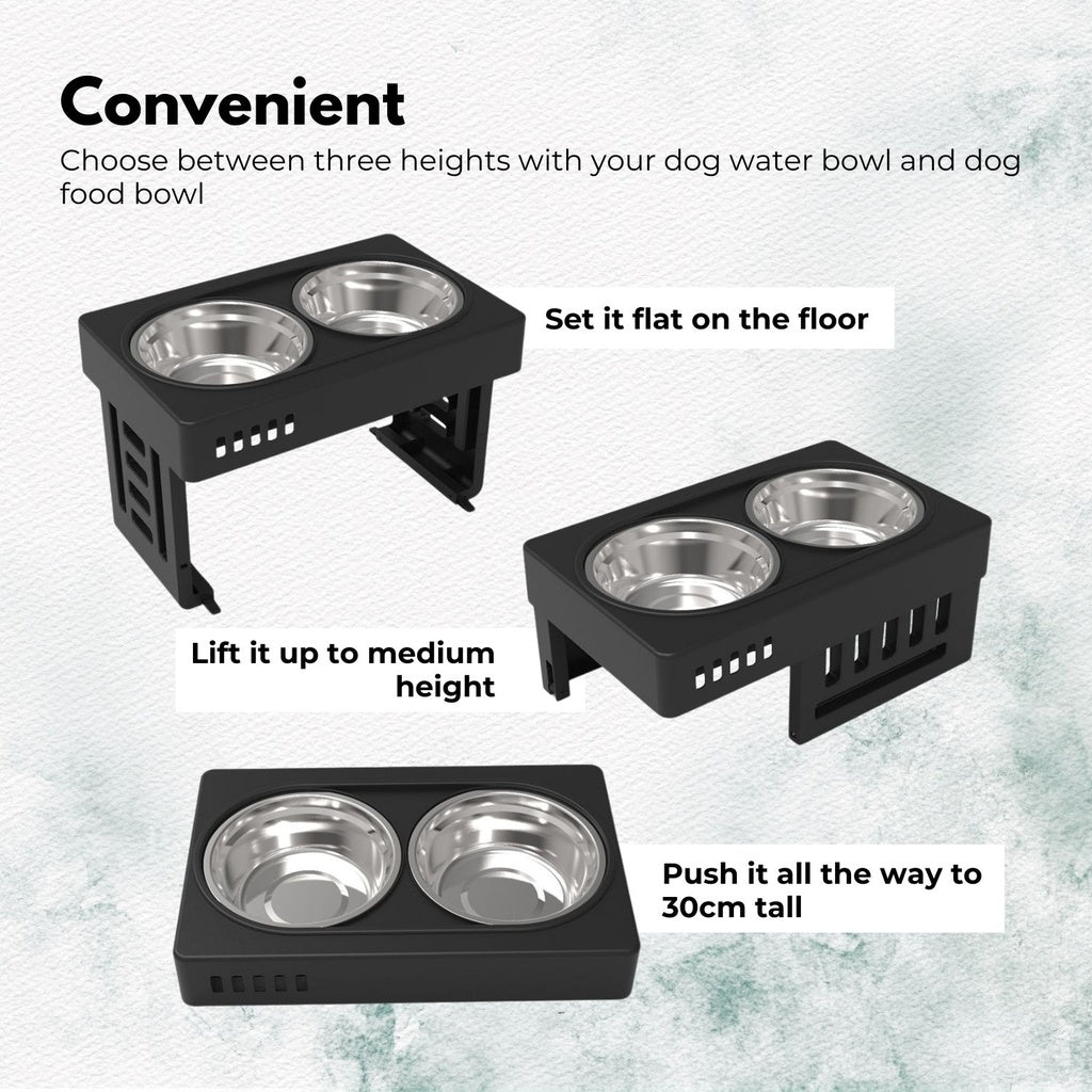 Elevated Double Bowl Pet Feeder