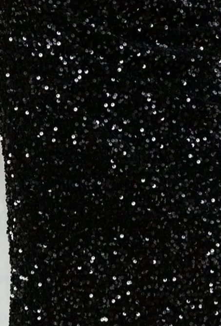Parien Sequin Long Skirt