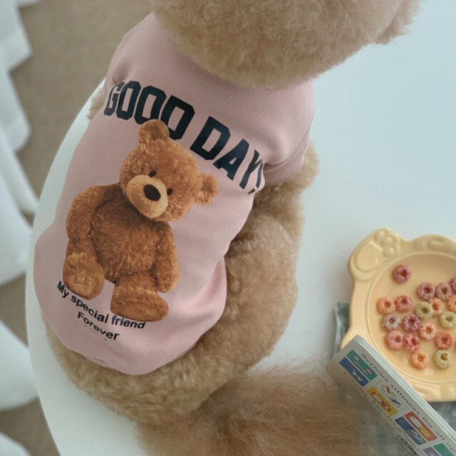 Teddy Printed Dog Cat Hoodie